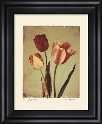 Framed Spring Color II Print