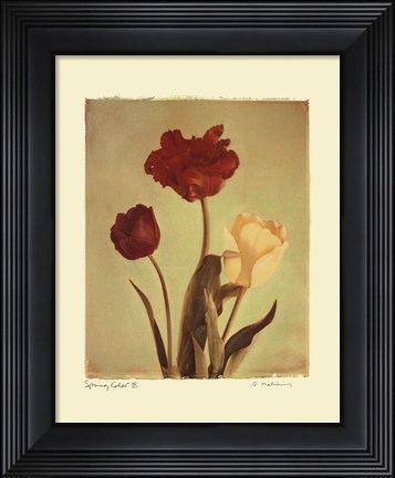 Framed Spring Color IV Print