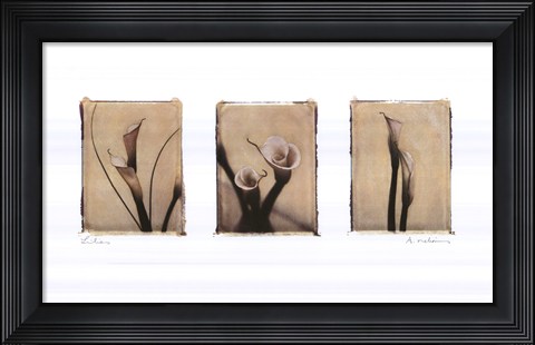 Framed Lilies Print