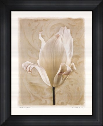 Framed Chiaroscuro I Print
