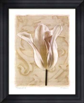 Framed Chiaroscuro II Print