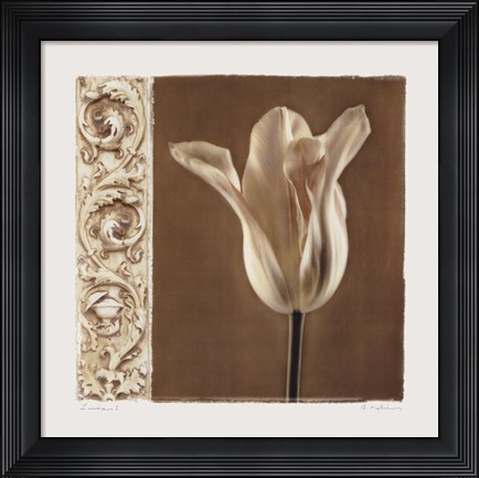 Framed Lumiere I Print