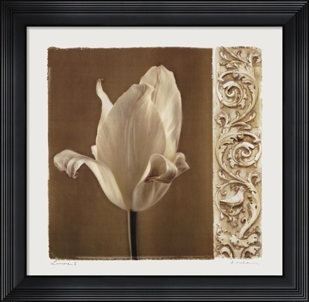 Framed Lumiere II Print