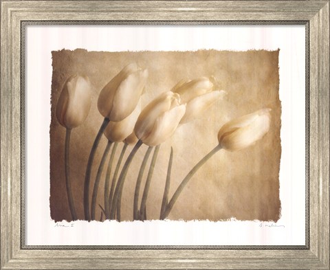 Framed Aria II Print