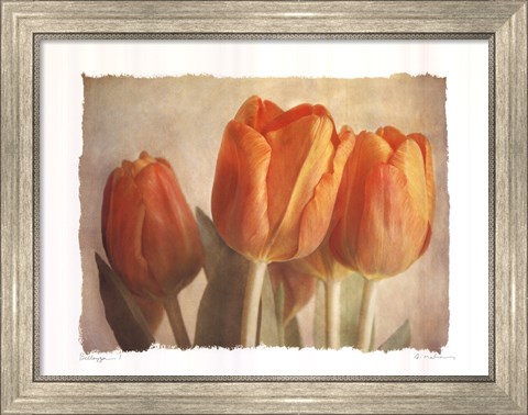 Framed Bellezza I Print