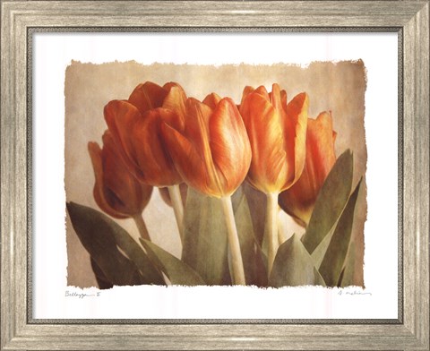 Framed Bellezza II Print