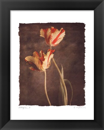 Framed Allegria II Print