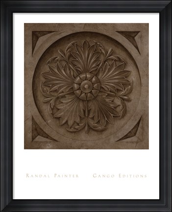 Framed Rosette II Print