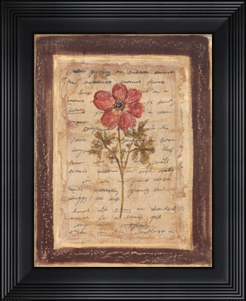Framed Garden Notes I Print