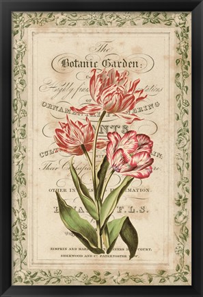 Framed Botanic Garden Print