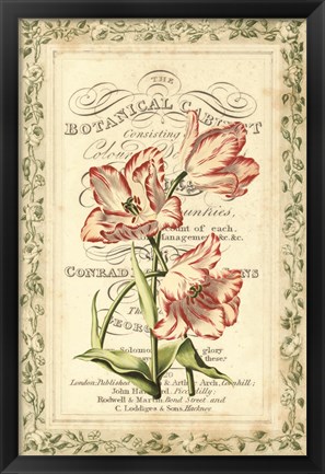 Framed Botanic Cabinet Print