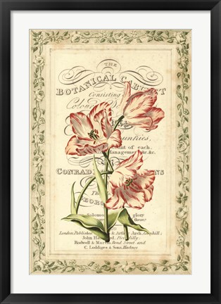 Framed Botanic Cabinet Print