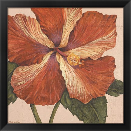 Framed Island Hibiscus I Print