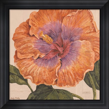 Framed Island Hibiscus II Print