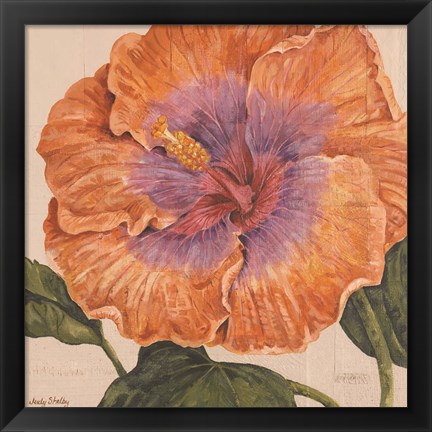Framed Island Hibiscus II Print