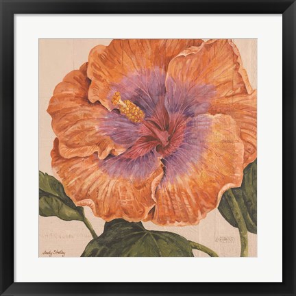 Framed Island Hibiscus II Print