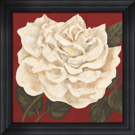 Framed Rosa Blanca Grande I Print