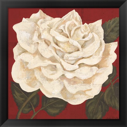 Framed Rosa Blanca Grande I Print