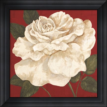 Framed Rosa Blanca Grande II Print