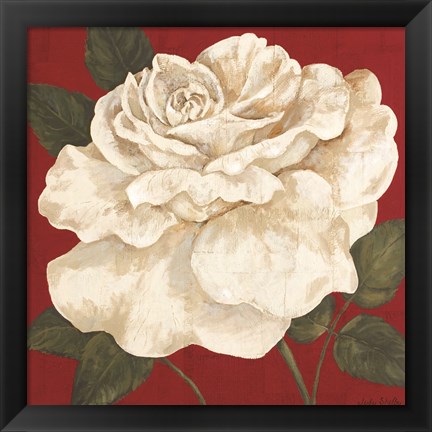 Framed Rosa Blanca Grande II Print