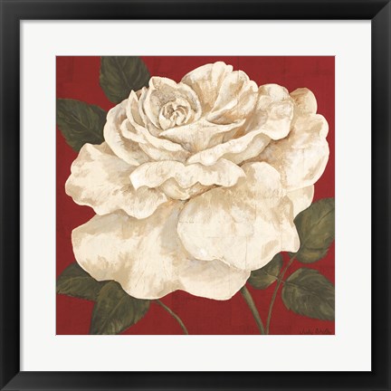 Framed Rosa Blanca Grande II Print