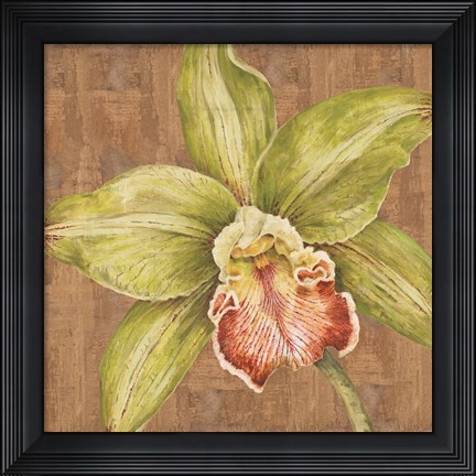 Framed Aloha Beauty II Print