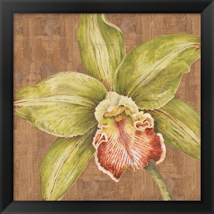 Framed Aloha Beauty II Print