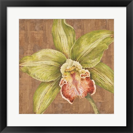 Framed Aloha Beauty II Print