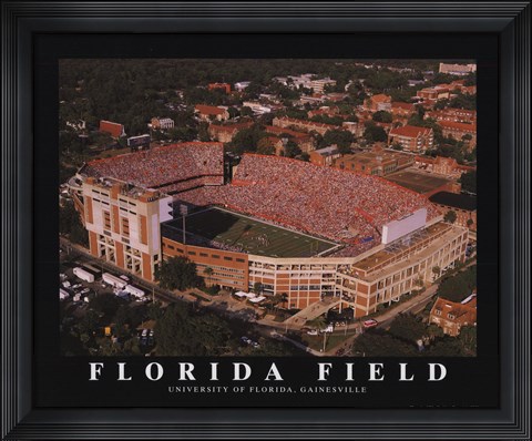 Framed Florida Field-U of Florida Print