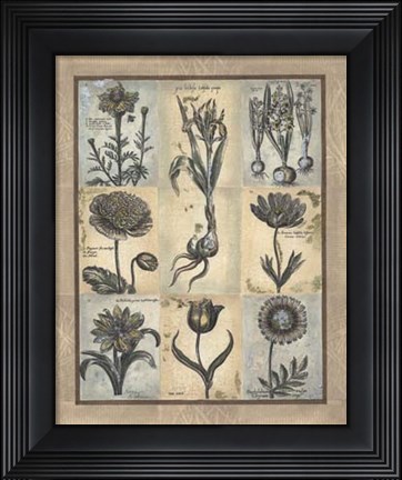 Framed Eleanor&#39;s Treasure II Print