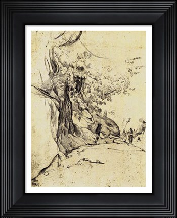 Framed Sepia Tree Study Print