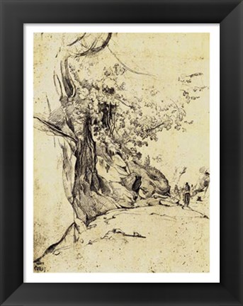 Framed Sepia Tree Study Print