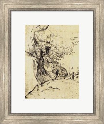 Framed Sepia Tree Study Print