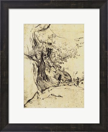 Framed Sepia Tree Study Print