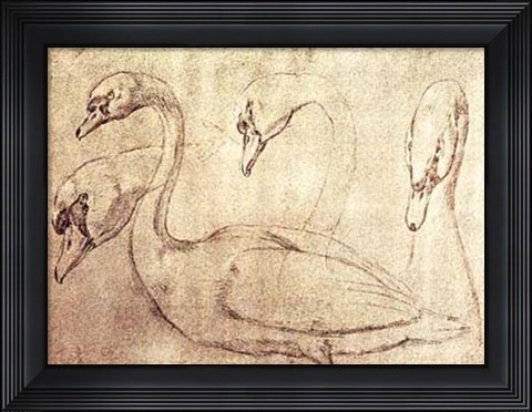 Framed Sepia Swan Study Print