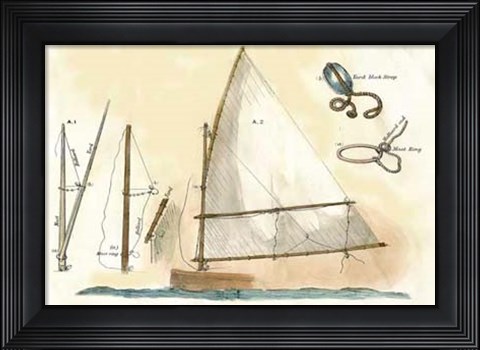 Framed Nautilus I Print