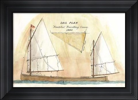 Framed Nautilus II Print