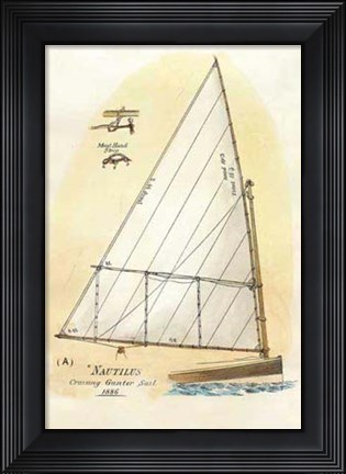 Framed Nautilus III Print