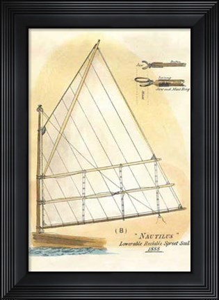 Framed Nautilus IV Print