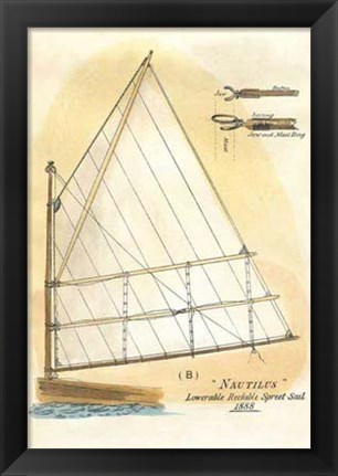 Framed Nautilus IV Print