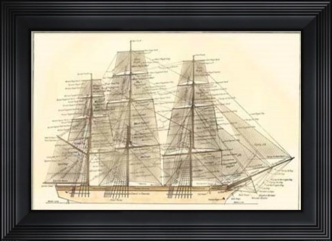 Framed Nautilus V Print