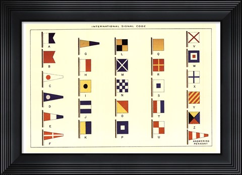 Framed Nautilus VI Print