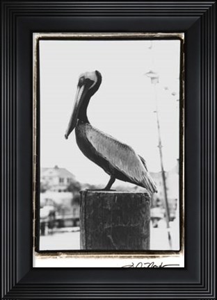 Framed Pelican Perch Print