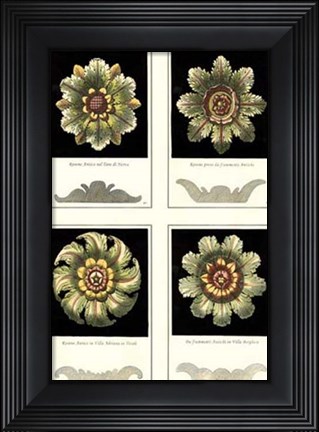 Framed Mini Rosettes Print