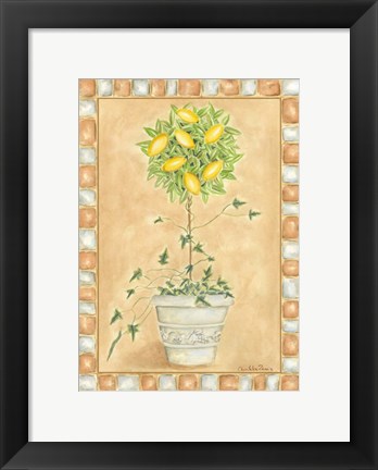 Framed Tuscan Fruit II Print