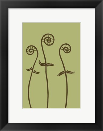 Framed Dichromatic Fiddleheads I Print