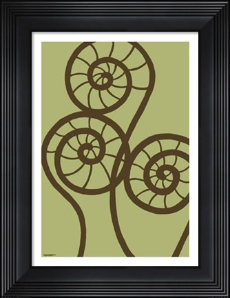 Framed Dichromatic Fiddleheads II Print