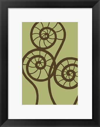 Framed Dichromatic Fiddleheads II Print