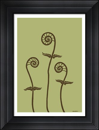Framed Dichromatic Fiddleheads III Print