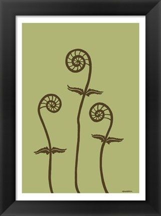 Framed Dichromatic Fiddleheads III Print